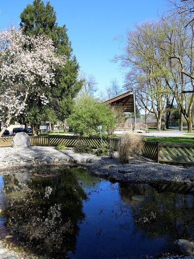 Park_Teich_Oststeiermark | © Iris Bloder