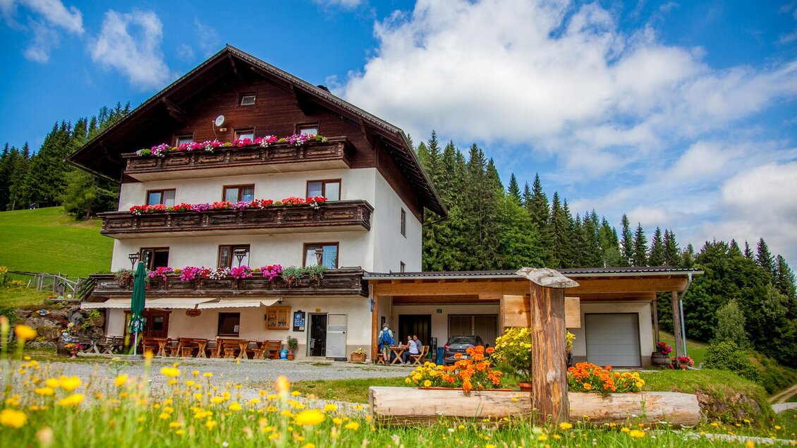 Ein gemütliches Landhaus umgeben von Wiesen und Bäumen. Bunte Blumen schmücken die Fensterbalkone und die sonnige Umgebung.