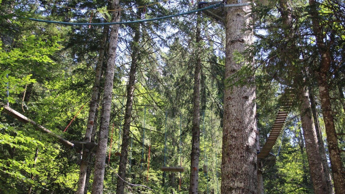 Hochseilkletterpark, Altaussee, Balancieren | © Viola Lechner