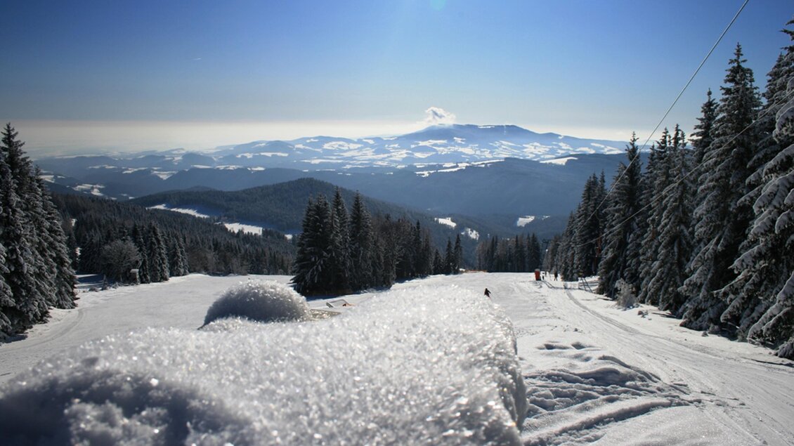 Eine schneebedeckte Landschaft mit hohen Tannen und einem klaren blauen Himmel. In der Ferne sind sanfte Hügel und Berge sichtbar. | © Hochwechsellifte Mönichwald