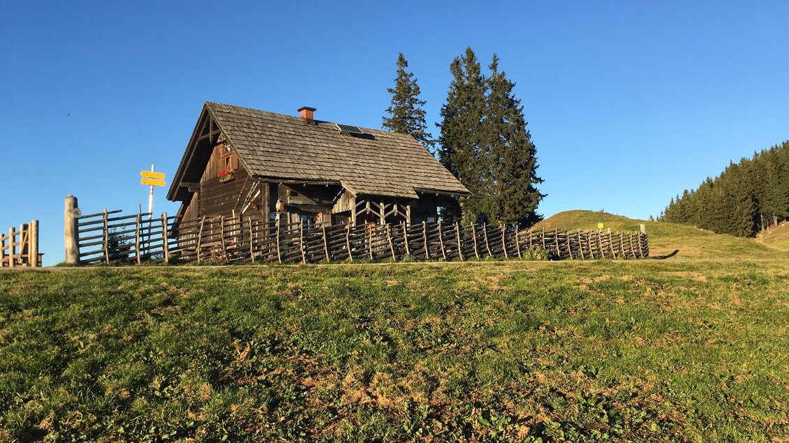 Eine rustikale Hütte steht auf einer sanften Anhöhe. Im Hintergrund sind Nadelbäume und ein klarer blauer Himmel zu sehen. | © Hofbauer Almhütte