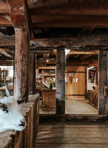 Adelwöhrer-Hofladen1-Murtal-Steiermark |  Adelwöhrer | © Adelwöhrer