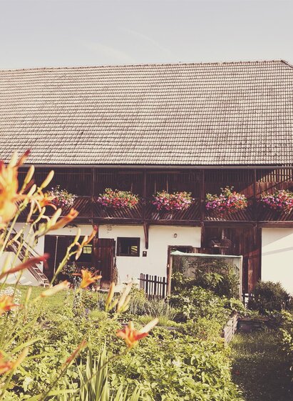 Leitenbauer sheep farm_farm_Eastern Styria | Sonja Spitzer | © Leitenbauer Schäferei