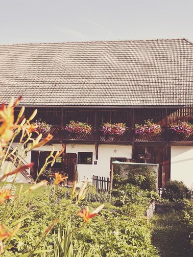 Leitenbauer sheep farm_farm_Eastern Styria | © Leitenbauer Schäferei