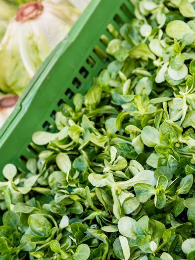 Salat | © Stephan Friesinger