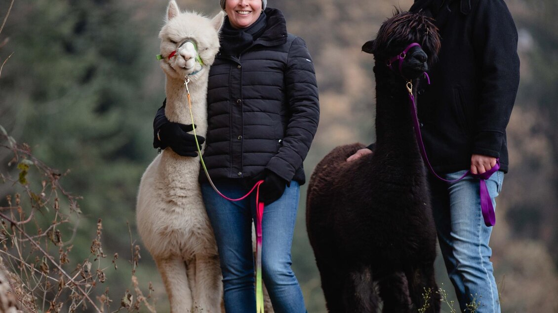 Hohenkogl Alpakas_Oststeiermark | © Hohenkogl Alpakas