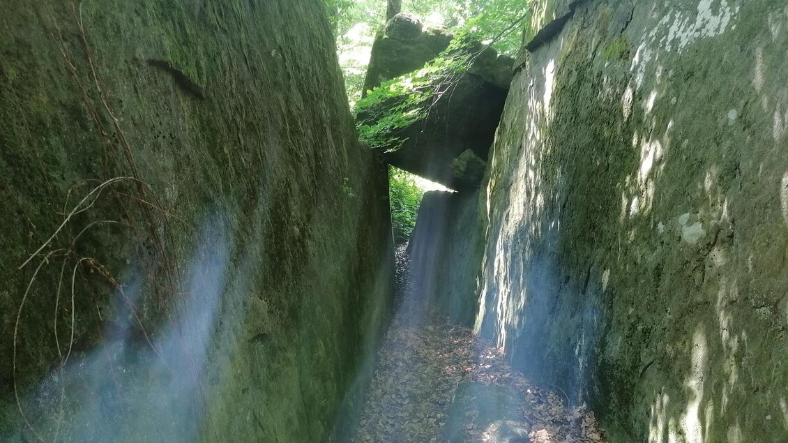 Eine enge Schlucht zwischen hohen Felsen, umgeben von Bäumen. Sanfte Lichtstrahlen fallen auf den erdigen Boden. | © Hohlkogel - Hohlfelsen