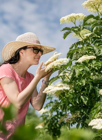 Holunder Wunderwelt | © Holunder Wunderwelt