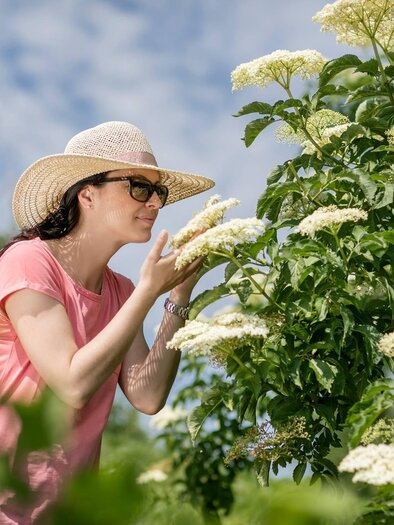 Holunder Wunderwelt | © Holunder Wunderwelt