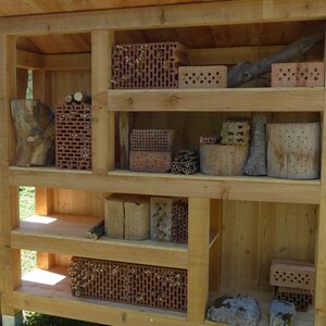 Bienenhaus | Franz Gepp