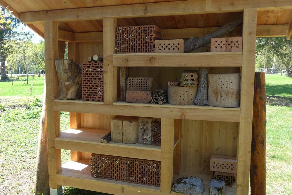 Honey & apicultural products - Impression #1 | © Franz Gepp