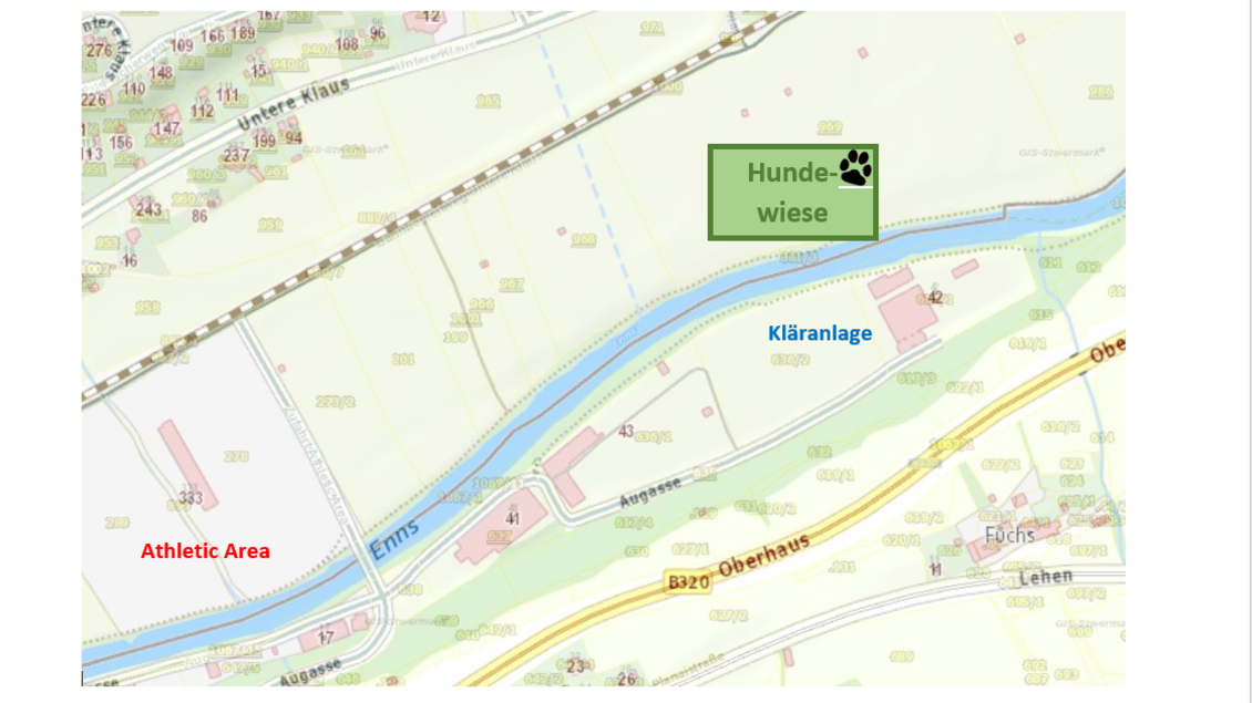Eine Karte mit verschiedenen Bereichen für Aktivitäten. Die Bereiche "Hunde-Wiese" und "Athletic Area" sind deutlich gekennzeichnet.