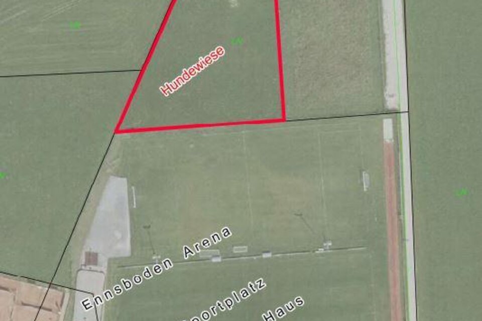 Dog meadow Haus im Ennstal - Impression #1