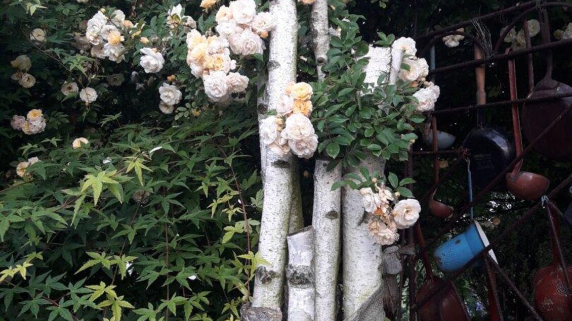 Ideengarten Maria Raab in Poppendorf - Impressionen #2.4