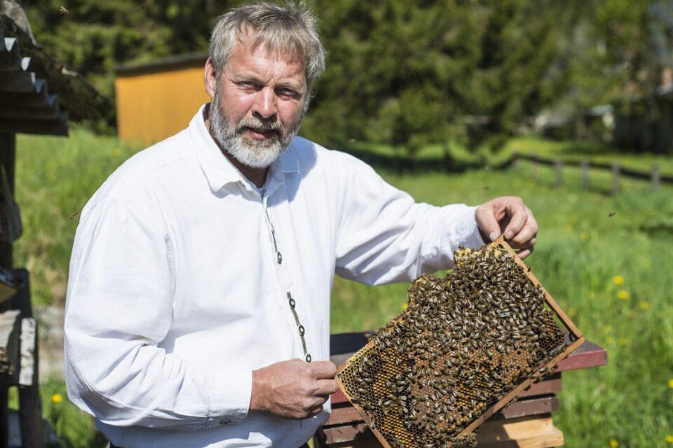 Imkerei Königshofer - Impression #1 | © Imkerei Könighofer