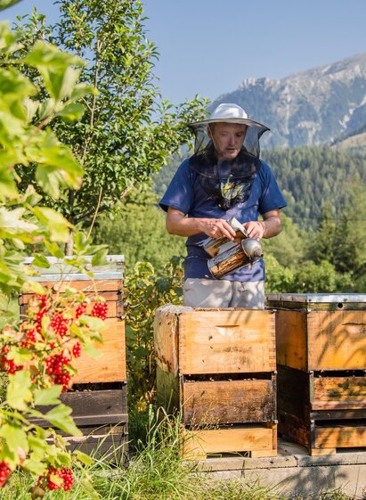 Imkerei Karl Scheifinger