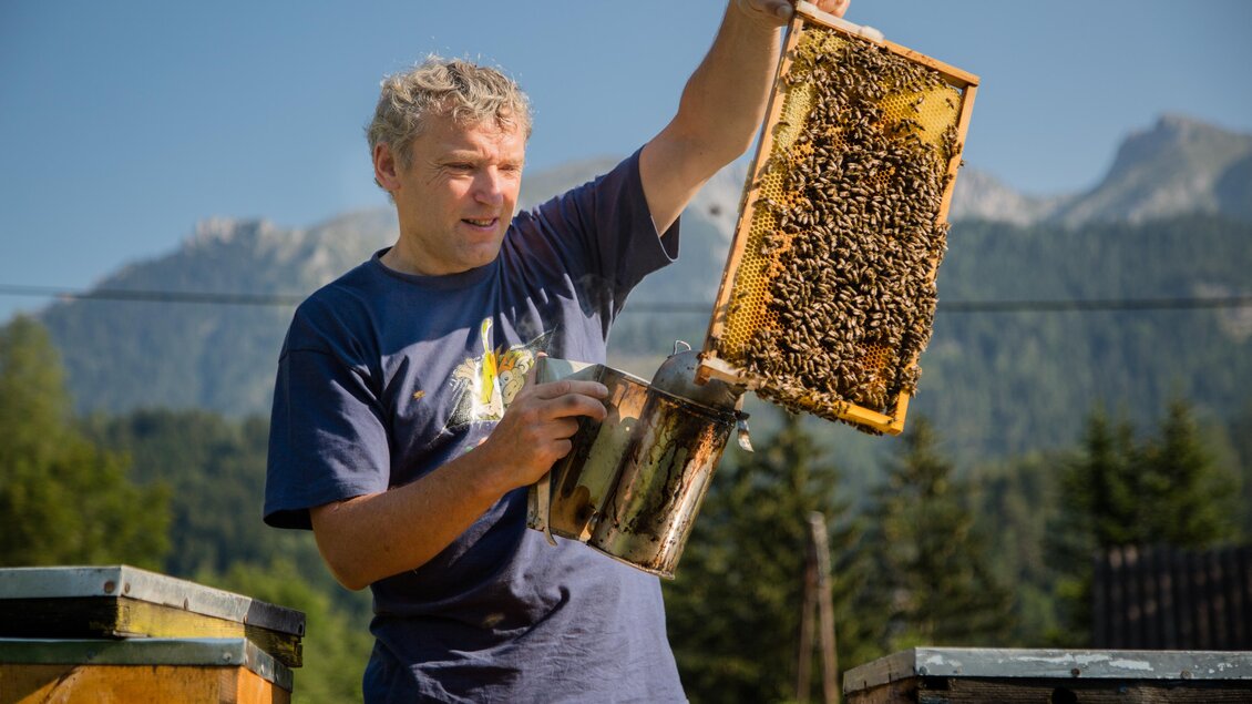 Ein Imker hält einen geöffneten Bienenstockrahmen mit Bienen in der Hand. Im Hintergrund sind Berge und Bäume zu sehen.