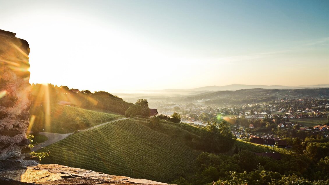 Ein malerischer Blick auf Weinberge und ein sonniger Horizont. Die Landschaft ist von sanften Hügeln und einem klaren Himmel geprägt. | © Lupi Spuma