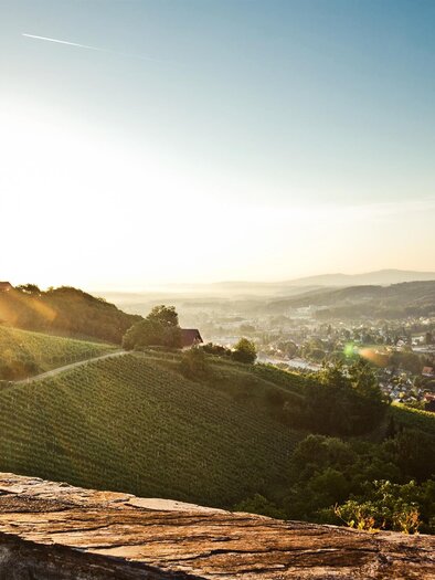 Ein malerischer Blick auf Weinberge und ein sonniger Horizont. Die Landschaft ist von sanften Hügeln und einem klaren Himmel geprägt. | © Lupi Spuma