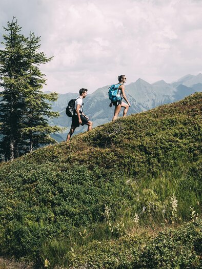 Zwei Personen wandern auf einem grünen Hügel im Gebirge. Im Hintergrund sind hohe Bäume und eine malerische Berglandschaft zu sehen. | © Armin Walcher