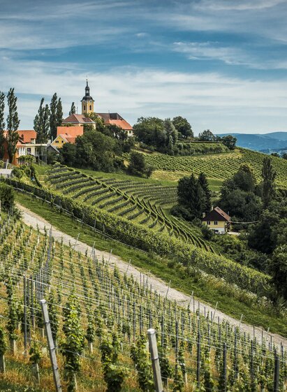 Blick Kirche Kitzeck | © Weingut Schneeberger | C.Mavric | C. Mavric | © Weingut Schneeberger | C.Mavric