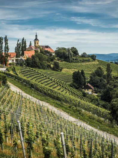 Blick Kirche Kitzeck | © Weingut Schneeberger | C.Mavric