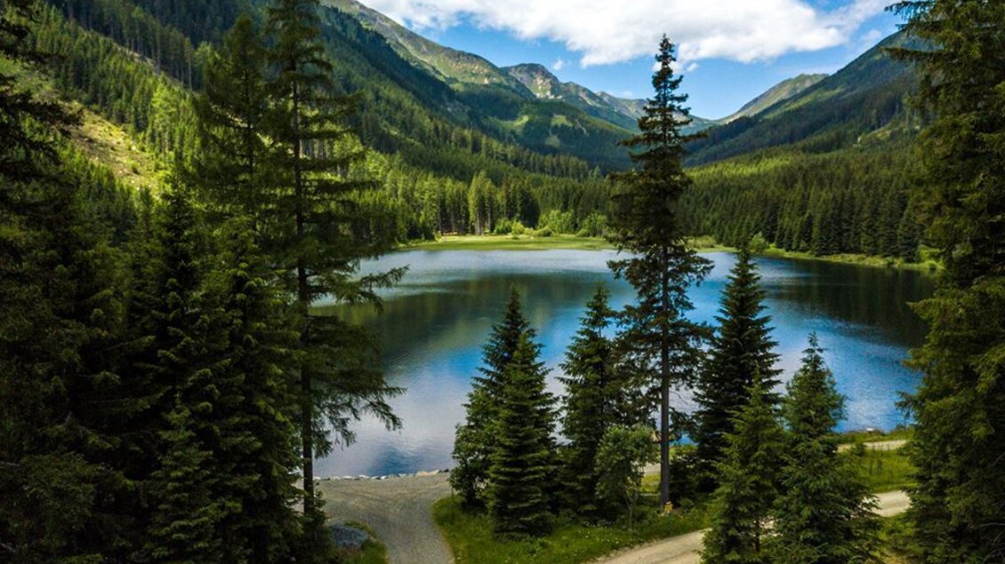 Ein ruhiger See eingebettet in eine grüne Landschaft mit hohen Bäumen. Die Berge im Hintergrund schaffen eine malerische Kulisse unter einem klaren Himmel. | © Anita Fössl