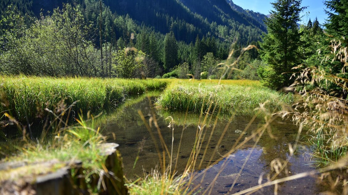 Eine ruhige Landschaft mit einem klaren Gewässer und grünen Wiesen. Im Hintergrund sind hohe Berge und dichte Wälder zu sehen. | © Anita Fössl