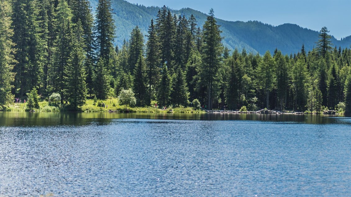 Ein ruhiger See umgeben von hohen, grünen Bäumen und Bergen im Hintergrund. Der Himmel ist klar und blau. | © Anita Fössl