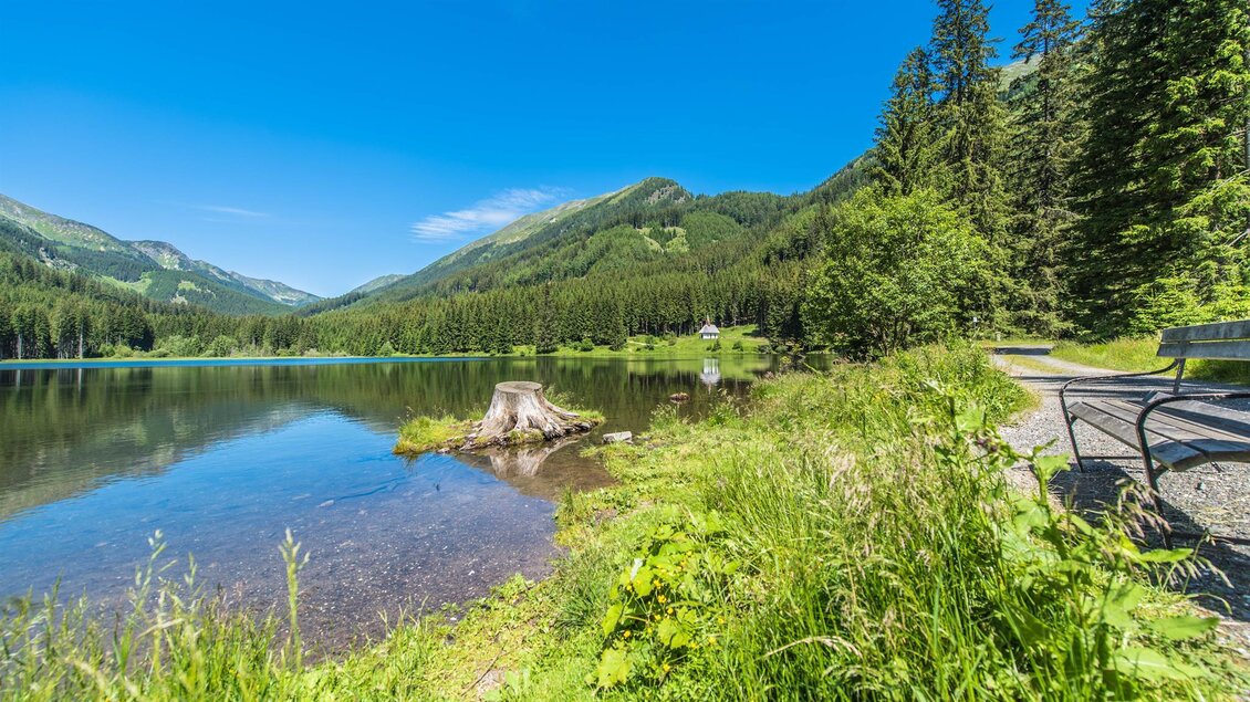 Ein ruhiger See umgeben von hohen Bäumen und grüner Wiesenfläche. Im Hintergrund sind sanfte Hügel und ein klarer blauer Himmel zu sehen. | © Anita Fössl