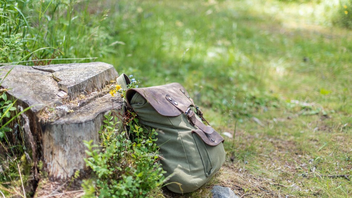 Ein grüner Rucksack steht neben einem Baumstumpf auf einer Wiese. Die Umgebung ist grün und naturnah. | © Anita Fössl