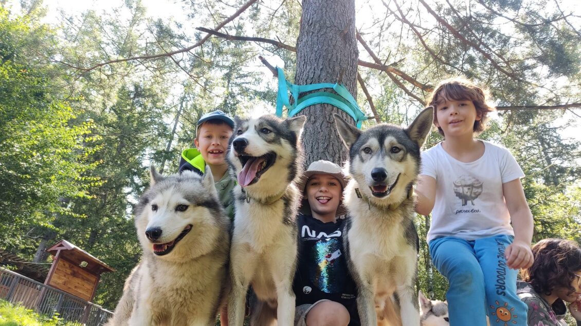 Vier Kinder stehen mit zwei Husky-Hunden in einem Wald. Die Sonne scheint durch die Bäume, und alle wirken glücklich und freundlich. | © Daniel Zuber