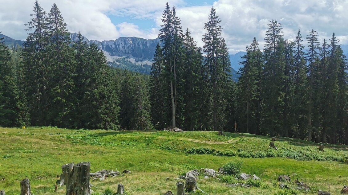 Ischler Hütte, Altaussee, Almgebiet | © TVB Ausseerland Salzkammergut_Theresa Schwaiger