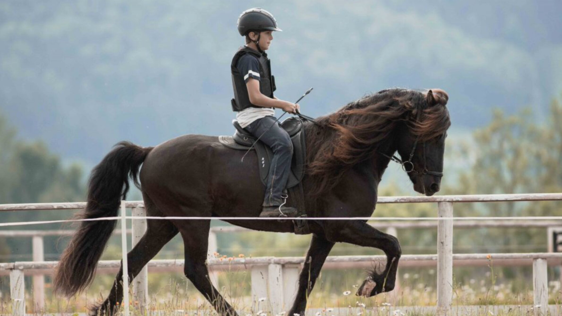 Ein Reiter auf einem schwarzen Pferd galoppiert über ein offenes Feld. Im Hintergrund sind sanfte Hügel und eine ruhige Landschaft zu sehen. | © Piet Hoyos-Fiona Tatschl