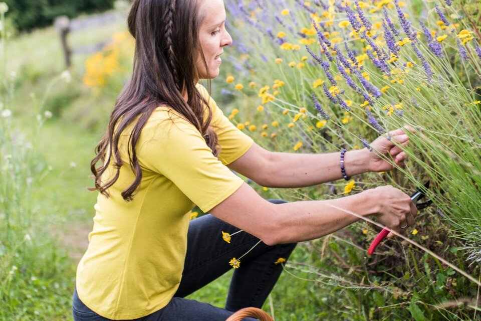 Jausenbox am Serschenhof Tertinjek - Impression #1 | © Serschenhof Tertinjek | Bettina & Gregor Tertinjek