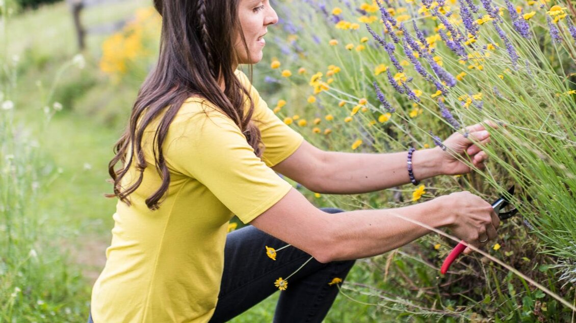 Serschenhof Tertinjek (27) | © Serschenhof Tertinjek | Bettina & Gregor Tertinjek