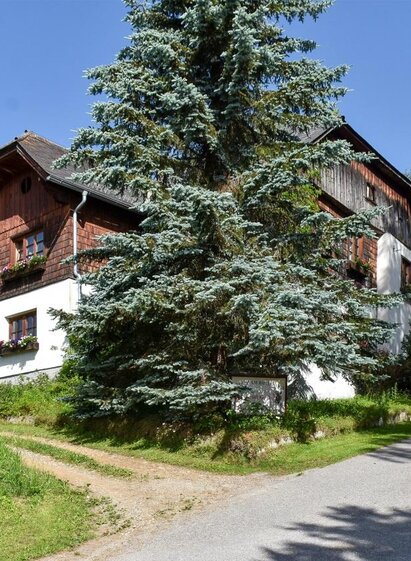 Jausenstation Bischof | Sybille Bischof | © Jausenstation Bischof vlg. Gangl