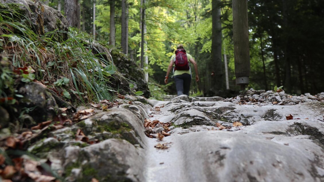 Prügelweg_Furche_Oststeiermark | © Tourismusverband Oststeiermark