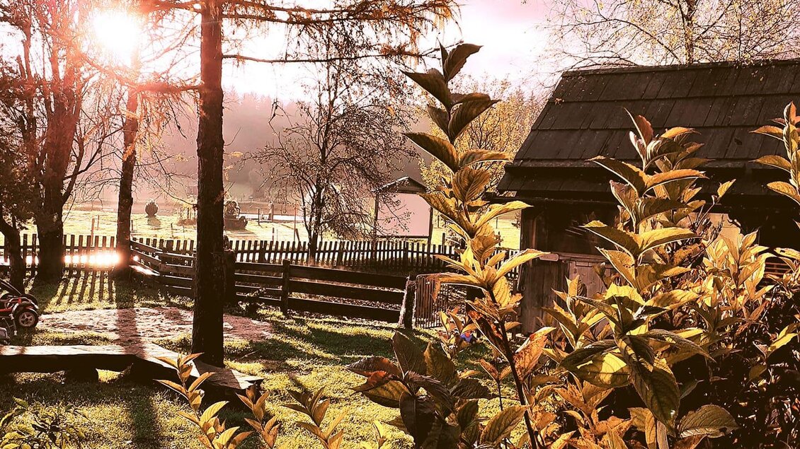 Ein sonniger Morgen in der Natur mit goldenen Blättern und einem rustikalen Holzgebäude. Die sanften Sonnenstrahlen beleuchten die Landschaft und schaffen eine warme Atmosphäre.