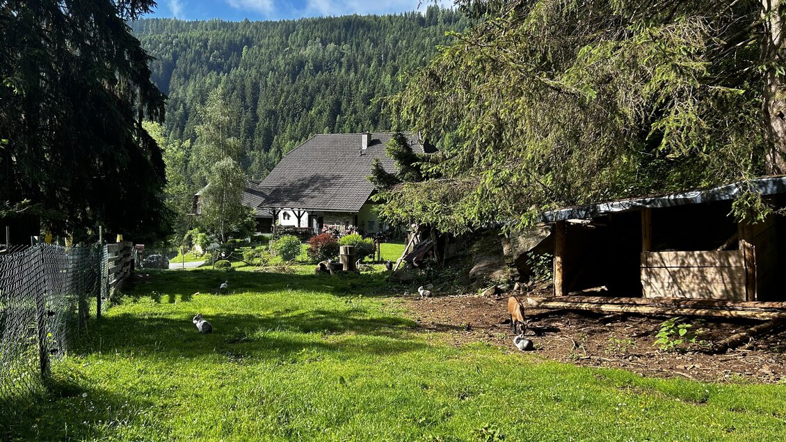 Eine grüne Wiese umgeben von Bäumen, mit einem Bauernhaus im Hintergrund. Rechts ist ein kleiner Stall zu sehen. | © Tourismusverband Murau