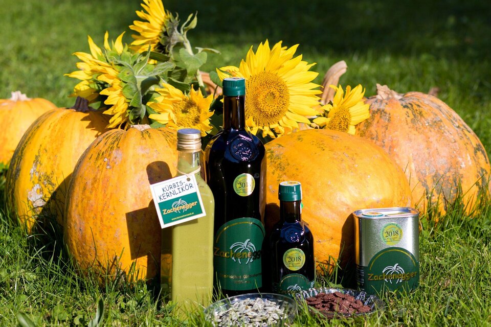 Pumpkin famery Zachenegger - Impression #1 | © Region Graz -  Harry Schiffer