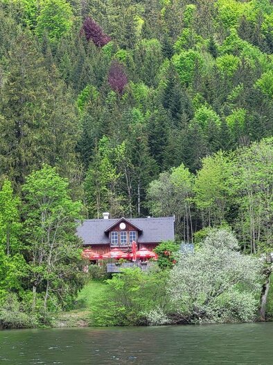 A charming house by the shores of a lake, surrounded by lush greenery and tall trees. The landscape radiates tranquility and a connection to nature. | © Petra Kirchschlager