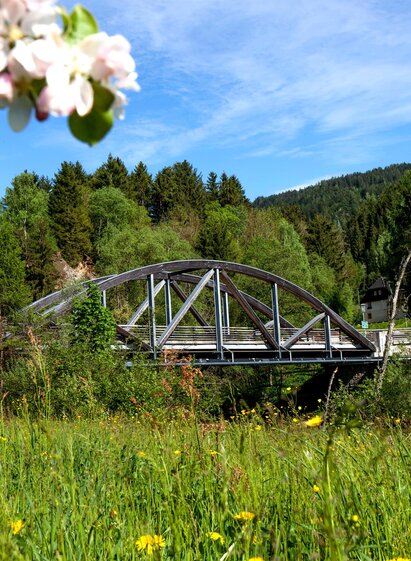 Kaindorfbrücke | Tom Lamm | © Holzwelt Murau