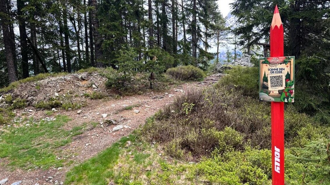 Ein Weg führt durch einen Wald mit grünen Pflanzen. Ein roter Bleistift und ein Informationsschild stehen am Wegesrand. | © Rittisberg