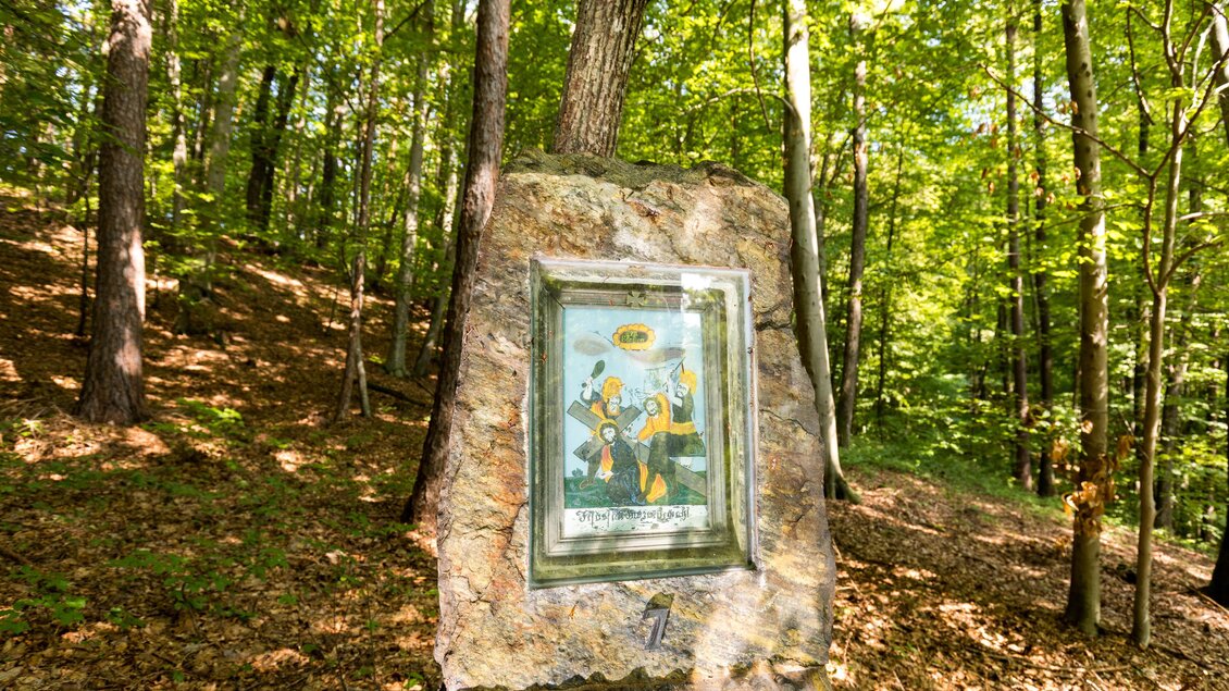 Einmaliger Stein mit einer bunten Illustration, umgeben von grünen Bäumen. Der Hintergrund zeigt den Wald in voller Blüte. | © TV Region Graz/Harry Schiffer