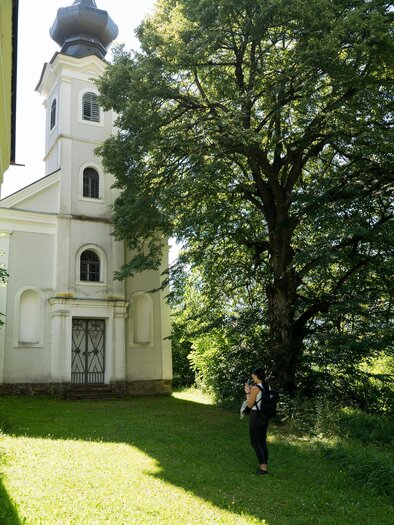 A small church stands beside a large tree in a green meadow. The sun shines brightly on the idyllic scene. | © Anita Fössl