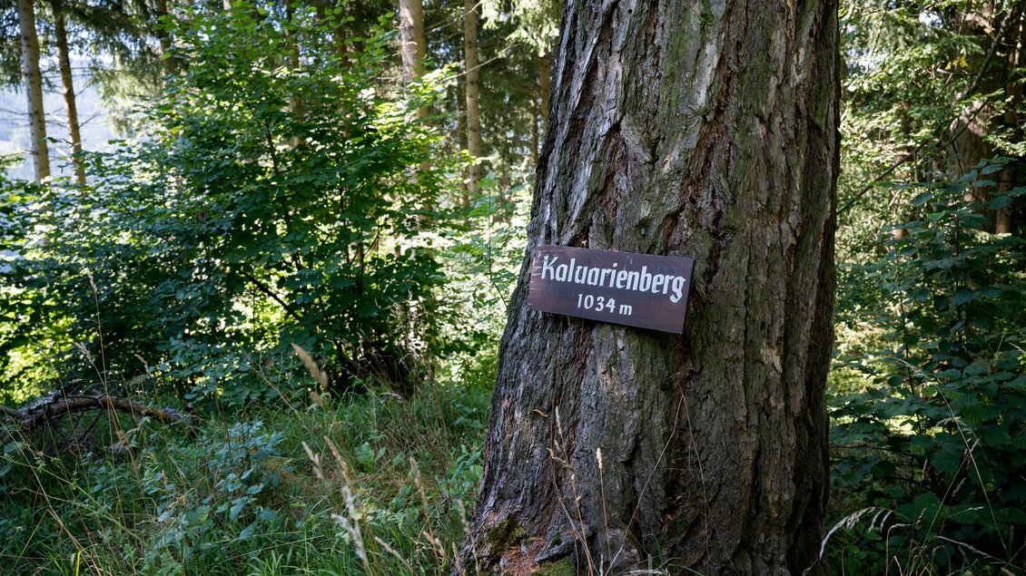 Ein Schild mit dem Namen "Kaloarienberg" und der Höhe von 1034 m ist an einem Baum in einem Wald angebracht. Um den Baum herum wächst dichtes, grünes Unterholz. | © Anita Fössl