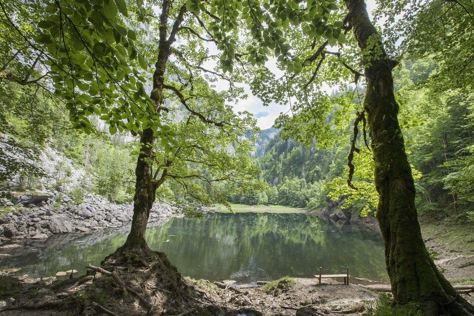 Lake Kammersee - Impression #1