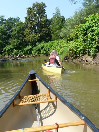 Kanutor_1 | © NaturfreundeFürstenfeld_RiK