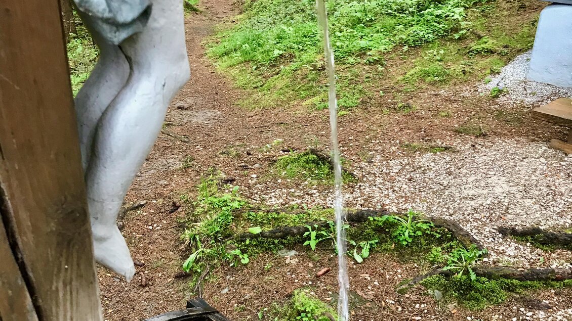 Ein Wasserlauf fließt aus einer Statue in einem Waldgebiet. Umgeben von grünen Bäumen und einem natürlichen Boden. | © TVB Schladming-Dachstein